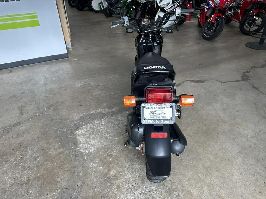 2011 Honda® Ruckus