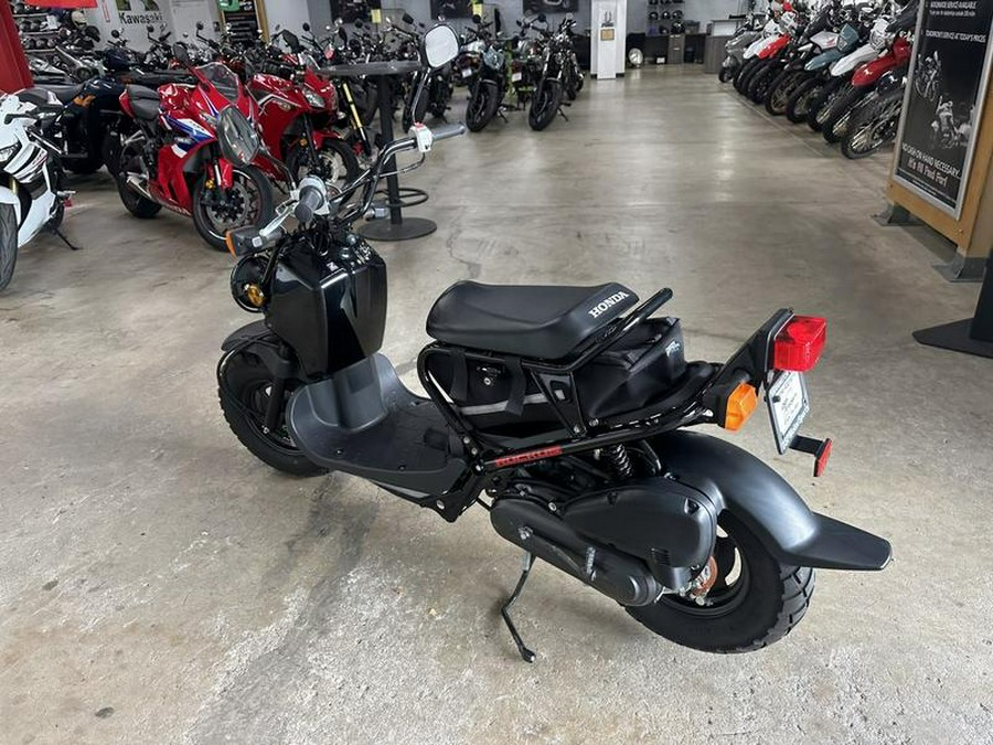 2011 Honda® Ruckus