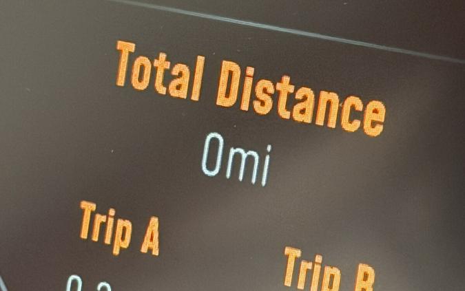 2025 Harley-Davidson® Nightster™ Special RH975S BILLIARD GRAY