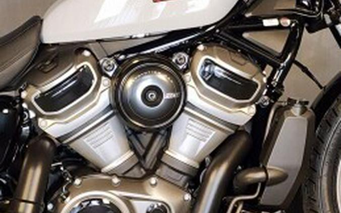 2025 Harley-Davidson® Nightster™ Special RH975S BILLIARD GRAY