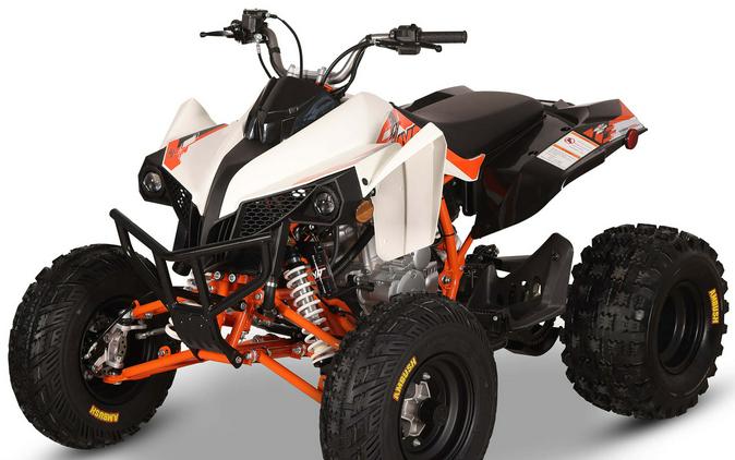 2026 Kayo Storm 300 EFI