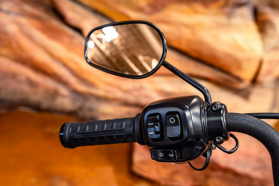 2025 Harley-Davidson Street Bob