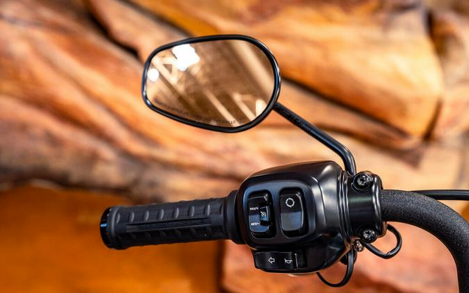 2025 Harley-Davidson Street Bob