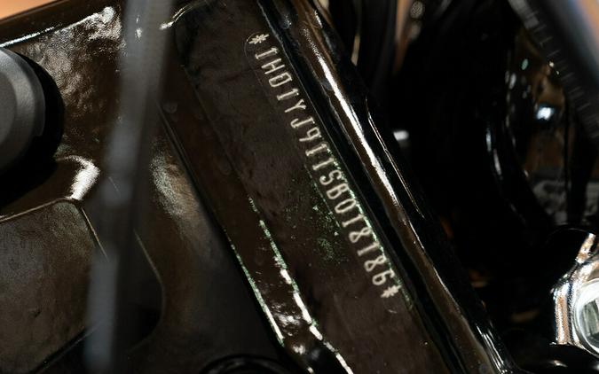 2025 Harley-Davidson Street Bob