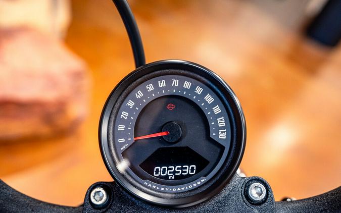 2025 Harley-Davidson Street Bob