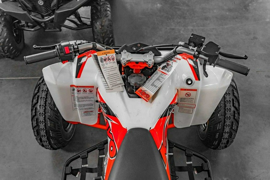 2026 Kayo Storm 300 EFI