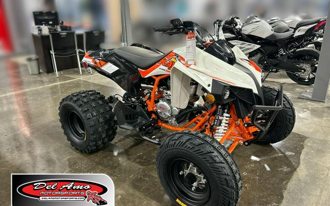2026 Kayo STORM 300