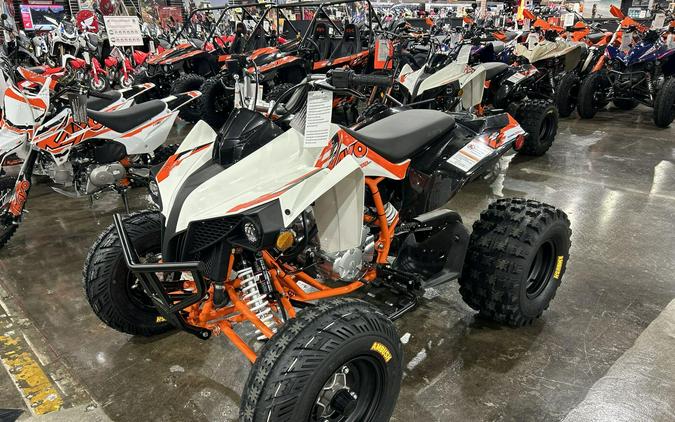 2026 Kayo STORM 300