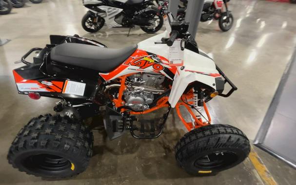 2026 Kayo STORM 300