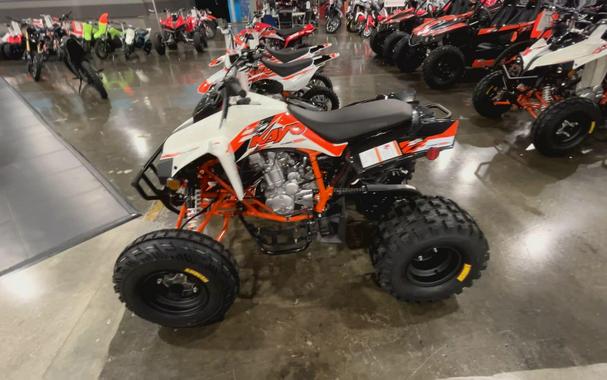 2026 Kayo STORM 300