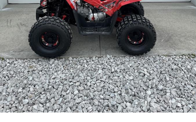 2026 Mudhawk 10FI - Denago Powersports