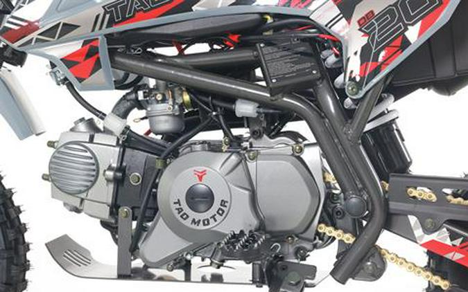 2026 Tao Motor DB20