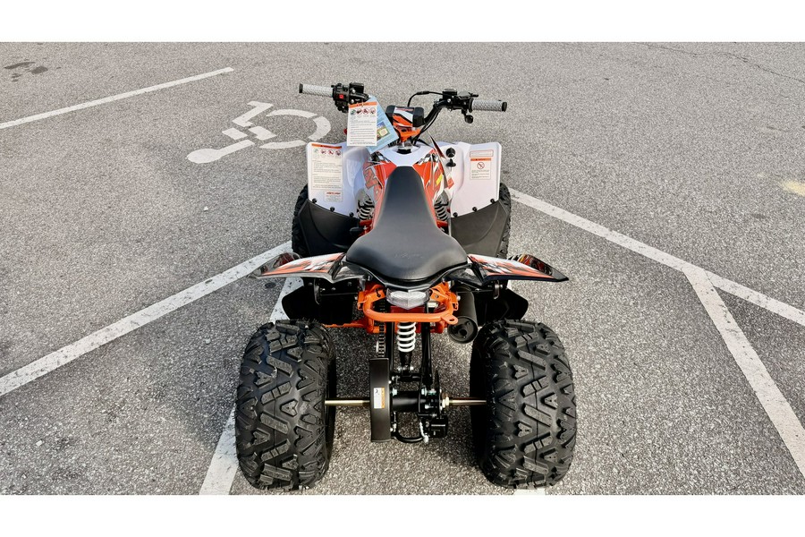 2026 Kayo PREDATOR 110