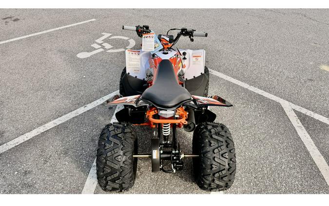 2026 Kayo PREDATOR 110