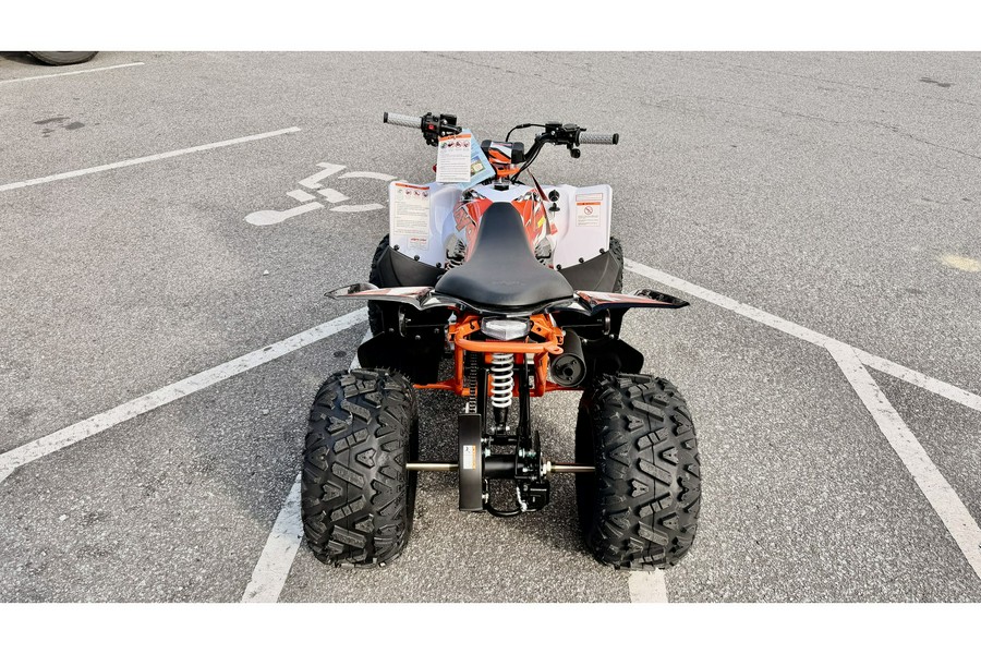 2026 Kayo PREDATOR 110