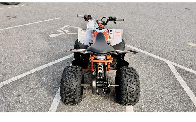 2026 Kayo PREDATOR 110