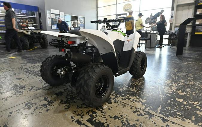 2027 Kawasaki KFX 50