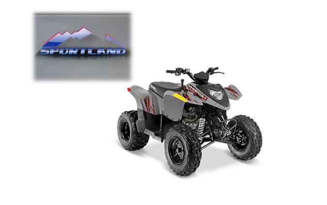 2023 Polaris Industries PHOENIX 200 AVALANCHE GRAY