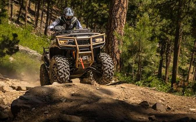 2023 Arctic Cat Alterra 600 Black Hills Edition