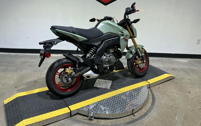 2023 Kawasaki Z125 Pro