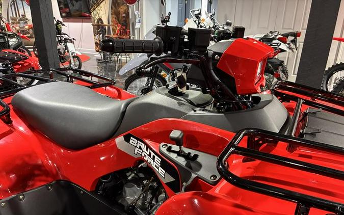 2026 Kawasaki Brute Force® 300