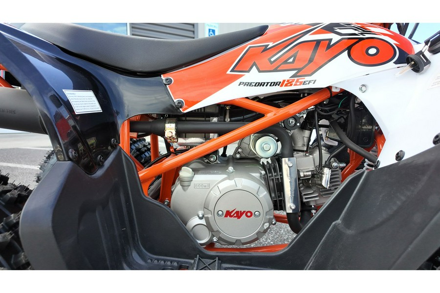 2026 PREDATOR 125 EFI - Kayo