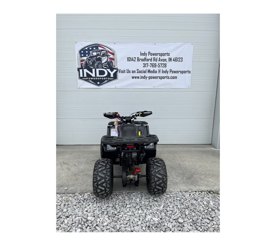 2026 Mudhawk 10FI - Denago Powersports