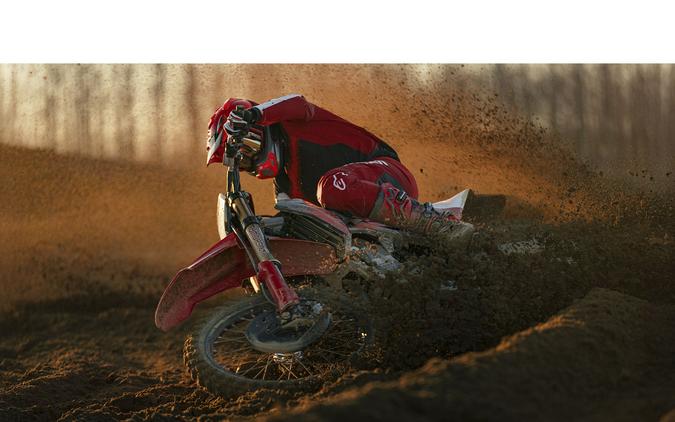 2026 Ducati Desmo450 MX Factory