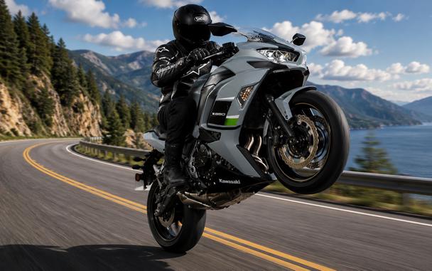 2023 KAWASAKI NINJA 650 (NON-ABS) - FA86603