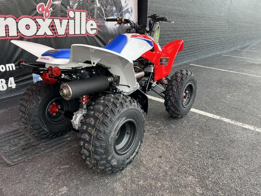 2026 Honda® TRX250X