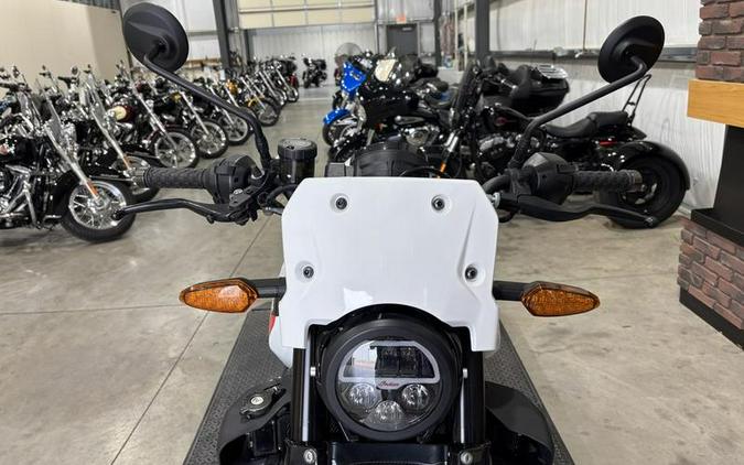 2023 Indian Motorcycle® FTR Sport White Lightning/Indy Red