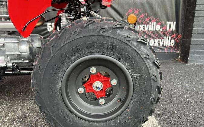 2026 Honda® TRX250X