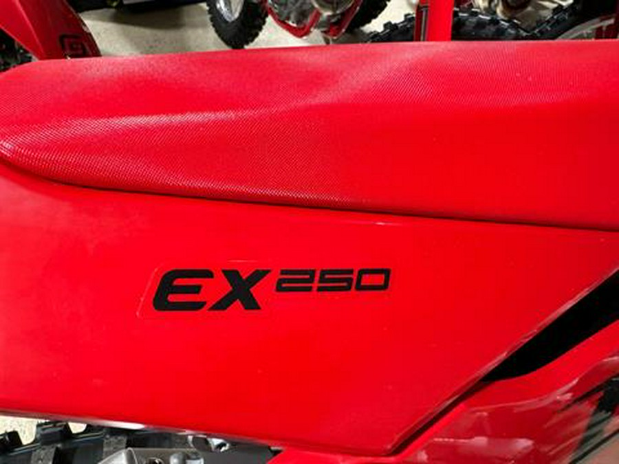 2025 GASGAS EX 250