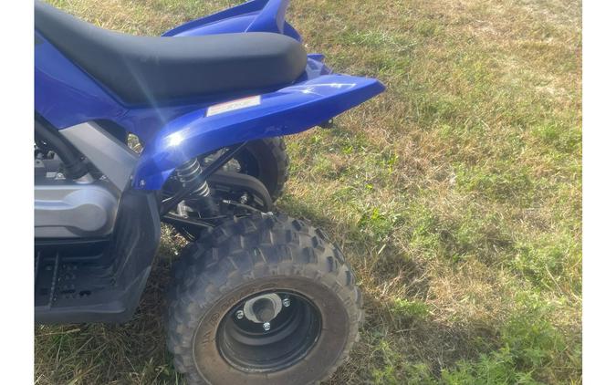 2020 Yamaha RAPTOR 90