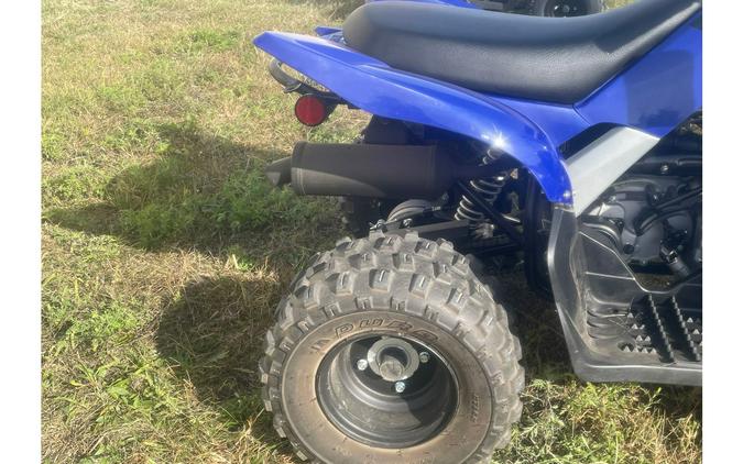 2020 Yamaha RAPTOR 90