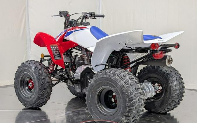 2026 Honda TRX 250X