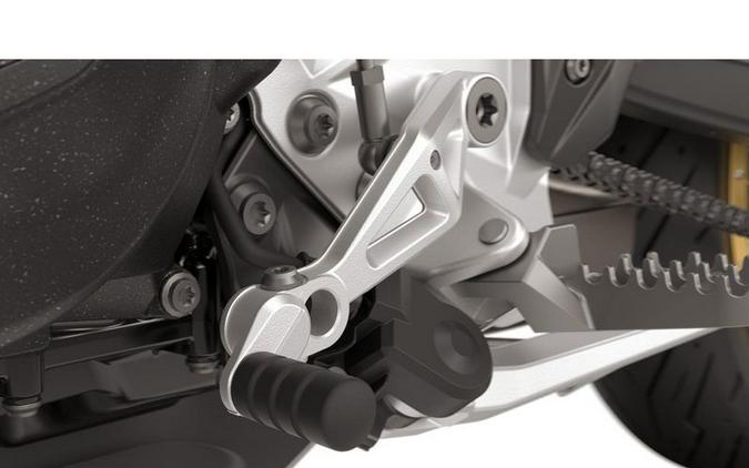 2026 BMW F 900 GS