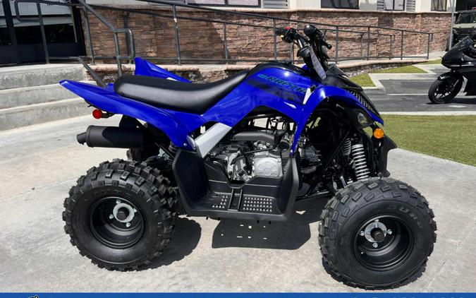 2026 Yamaha Raptor 110
