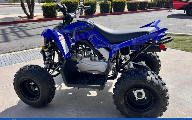 2026 Yamaha Raptor 110