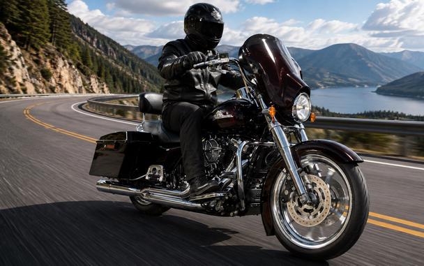 2011 HARLEY-DAVIDSON FLHXI - F614912