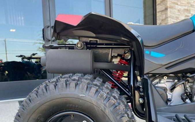 2026 Can-Am Renegade 110 EFI