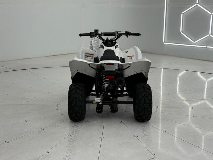 2026 Kawasaki KFX®50