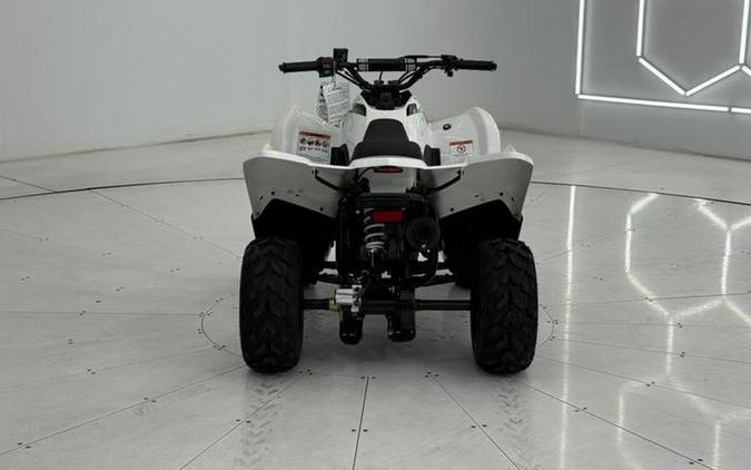 2026 Kawasaki KFX®50