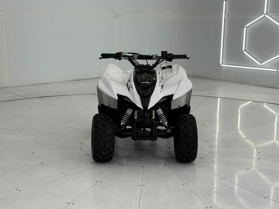 2026 Kawasaki KFX®50