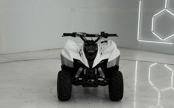 2026 Kawasaki KFX®50