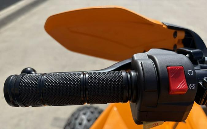 2027 Can-Am Renegade X Xc 110 EFI