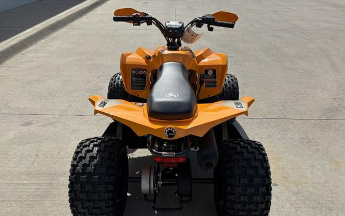 2027 Can-Am Renegade X Xc 110 EFI