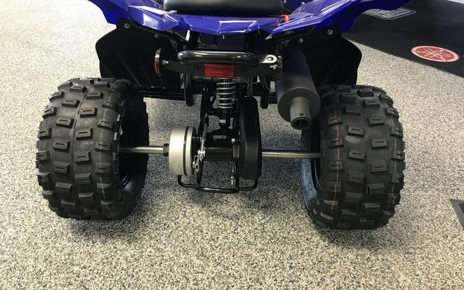 2022 Yamaha Raptor 90