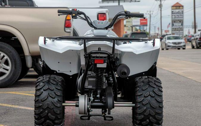 2024 Yamaha Grizzly 90