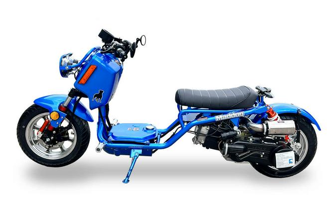 2022 Ice Bear Maddog 150cc Gen IV Scooter
